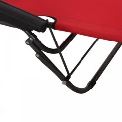 Outsunny-2 In 1 Metal Frame Sun Lounger With Pillow - Red -OUTSUNNY Store 1624015722 28353500
