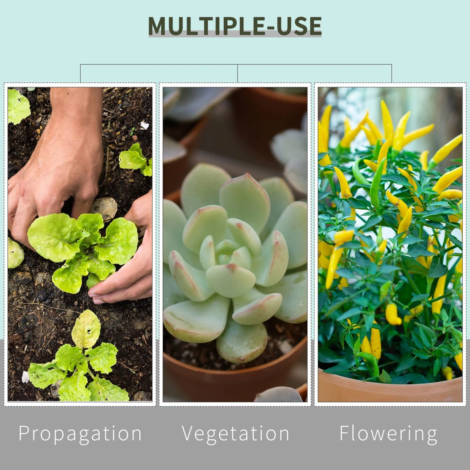 Outsunny Hydroponic Plant Grow Tent 80L X 80W X 160Hcm 6 Outsunny Hydroponic Plant Grow Tent 80L X 80W X 160Hcm - Image 6