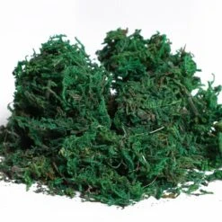 Outsunny Set Of 2 Artificial Boxwood Plant Tree's With Pot - Green -OUTSUNNY Store 1624275725 26105600