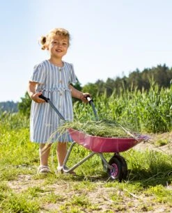 Rolly Toys Child's Pink Metal Wheelbarrow -OUTSUNNY Store 274802 1