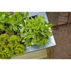 Forest Garden Cambridge Planter - 100x50cm -OUTSUNNY Store 4938026 3