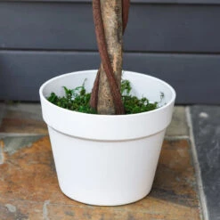 Outsunny Artificial Rose Tree And Planter For Indoor & Outdoor Use - Pink And Green -OUTSUNNY Store ohV9b417dc39d3ea4 jpg